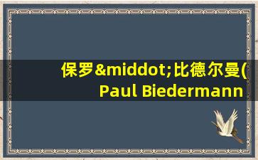 保罗·比德尔曼(Paul Biedermann)